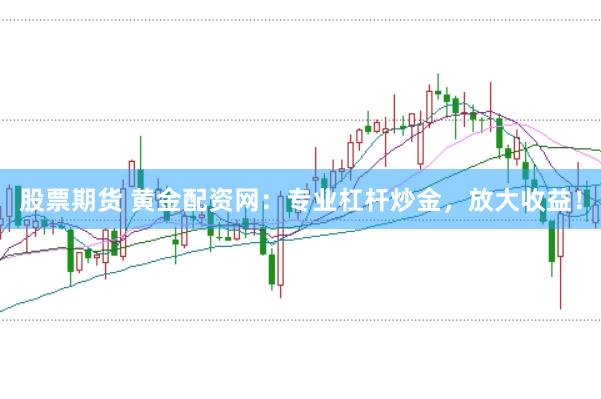 股票期货 黄金配资网：专业杠杆炒金，放大收益！