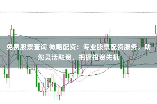 免费股票查询 微略配资：专业股票配资服务，助您灵活融资，把握投资先机