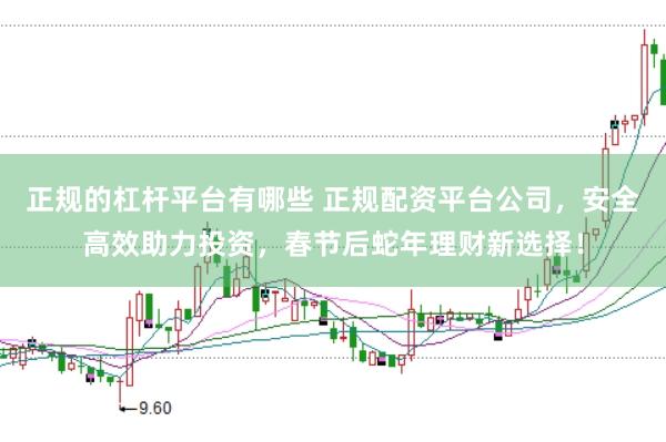 正规的杠杆平台有哪些 正规配资平台公司，安全高效助力投资，春节后蛇年理财新选择！