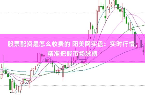 股票配资是怎么收费的 阳美网实盘：实时行情，精准把握市场脉搏