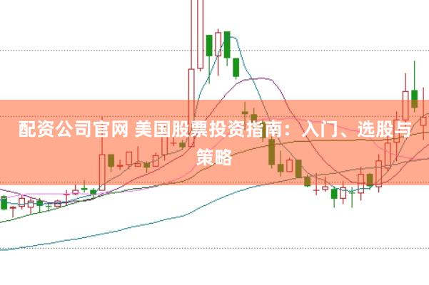 配资公司官网 美国股票投资指南：入门、选股与策略