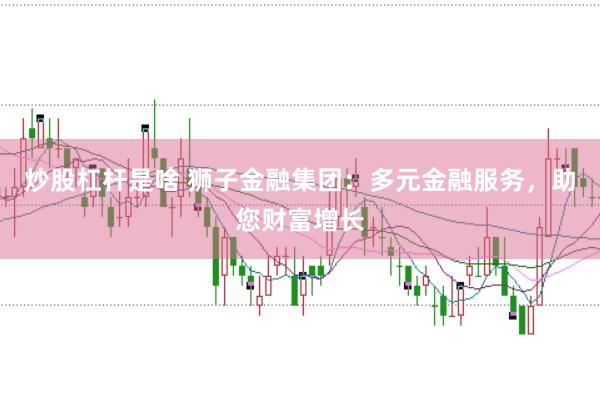 炒股杠杆是啥 狮子金融集团：多元金融服务，助您财富增长