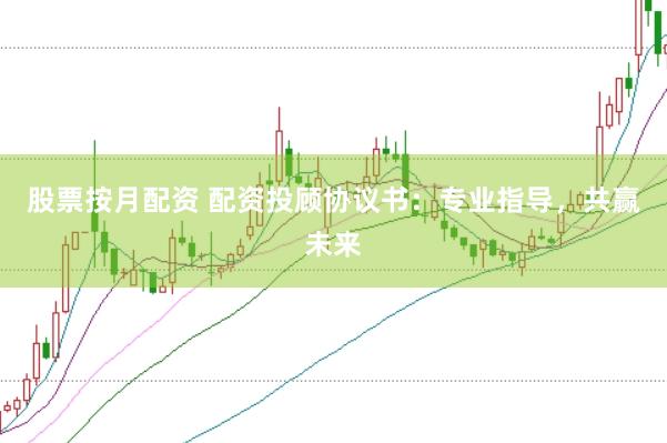 股票按月配资 配资投顾协议书：专业指导，共赢未来