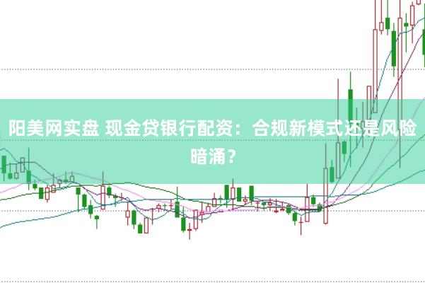 阳美网实盘 现金贷银行配资：合规新模式还是风险暗涌？