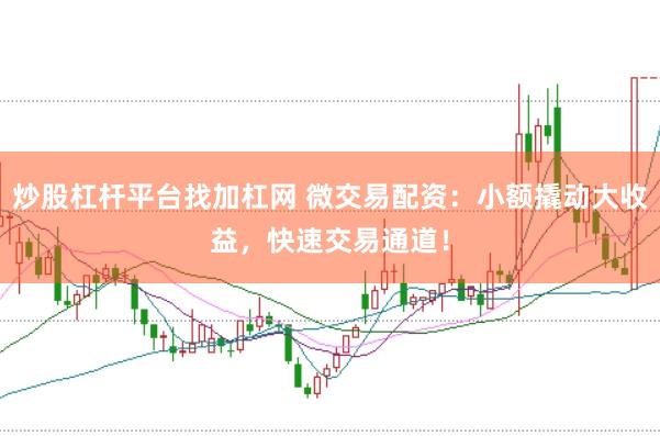 炒股杠杆平台找加杠网 微交易配资：小额撬动大收益，快速交易通道！