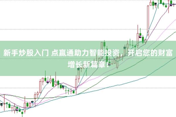 新手炒股入门 点嬴通助力智能投资，开启您的财富增长新篇章！
