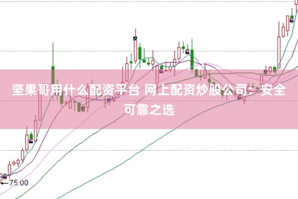 坚果哥用什么配资平台 网上配资炒股公司：安全可靠之选