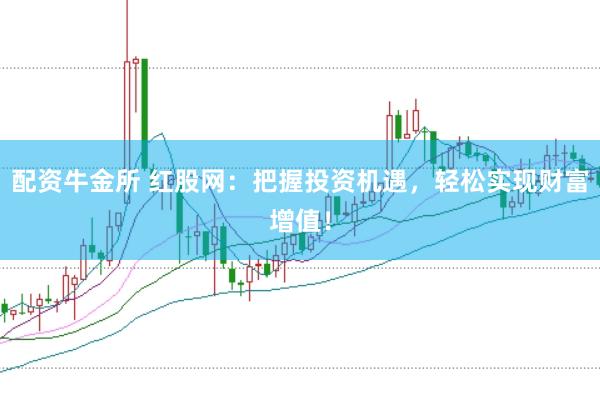 配资牛金所 红股网：把握投资机遇，轻松实现财富增值！