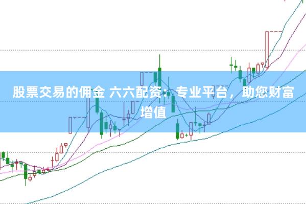 股票交易的佣金 六六配资：专业平台，助您财富增值