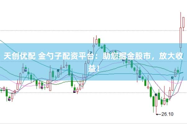 天创优配 金勺子配资平台：助您掘金股市，放大收益！