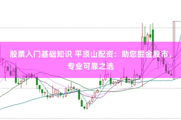 股票入门基础知识 平顶山配资：助您掘金股市，专业可靠之选