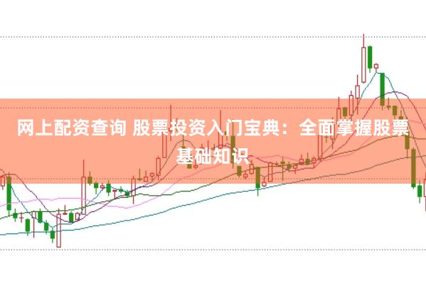 网上配资查询 股票投资入门宝典：全面掌握股票基础知识